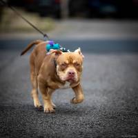 Julien SESIA - Julien-Sésia-Photographie©