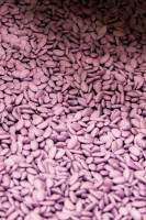 Julien SESIA - Julien-Sésia-Photographie©