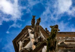 Julien SESIA - Julien-Sésia-Photographie©