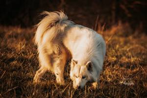 Jérémie MOLARO - F & F PHOTOGRAPHIE